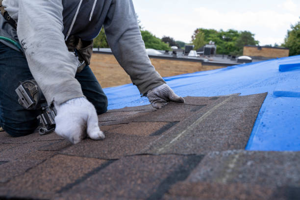 Best Flat Roof Repair Services  in Rose, LA
